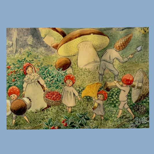 Postkarte „Tomtebobarnen Pfifferling“ Elsa Beskow