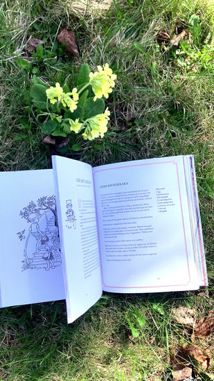 Astrid Lindgren Kochbuch aufgeschlagen auf Wiese und Wind blättert Seiten